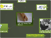 Organizzazione Lab - Mappa Mentale