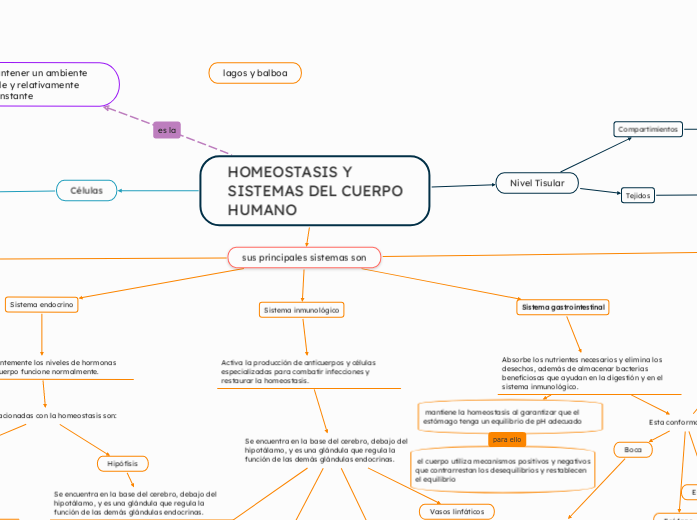 HOMEOSTASIS Y SISTEMAS DEL CUERPO HUMANO