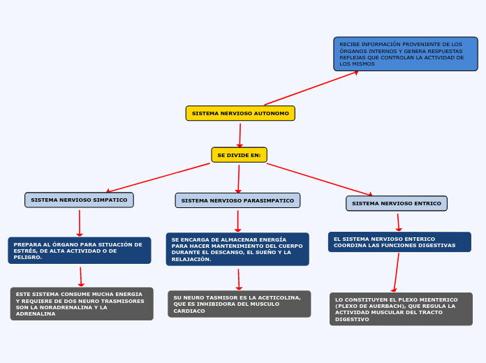 SISTEMA NERVIOSO AUTONOMO - Mind Map