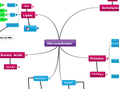 Macromolecules - Mind Map
