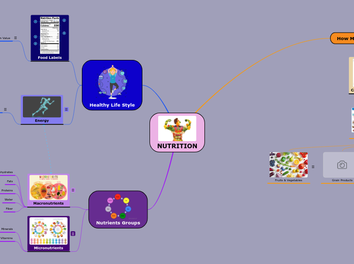 NUTRITION - Mind Map
