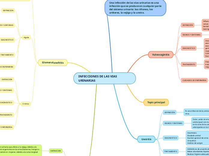 INFECCIONES DE LAS VIAS URINARIAS