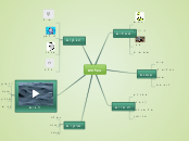 בעלי חיים - Mind Map