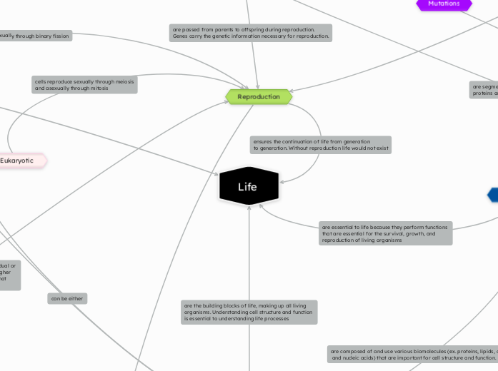   Life - Mind Map