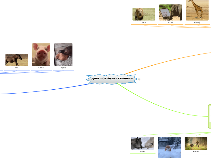 Дикі і свійські тварини - Mind Map