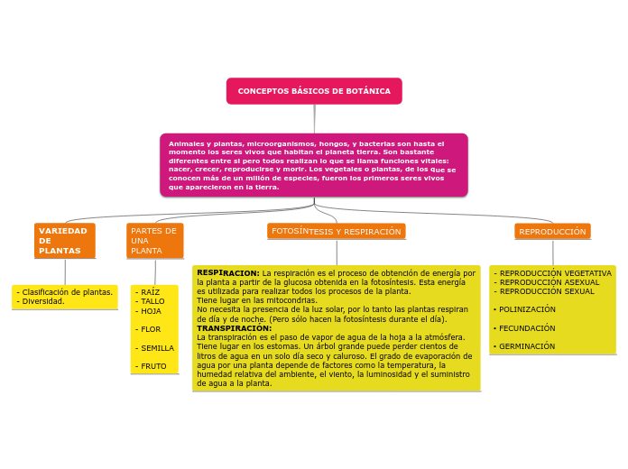 CONCEPTOS BÁSICOS DE BOTÁNICA - Mind Map