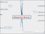 SEÑALIZACION CELULAR - Mapa Mental