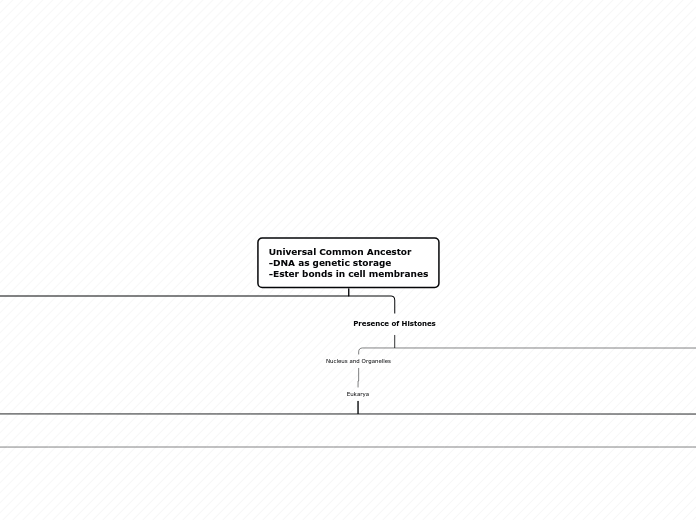 Universal Common Ancestor
-DNA as genetic ...- Mind Map