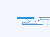 The Sun (Primary Producer) - Mind Map