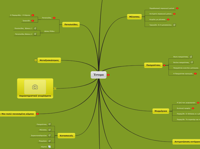 Έντομα - Mind Map