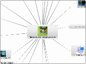 TEMAS SELECT. DE ING. DE S.W. - Mapa Mental