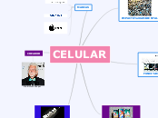 CELULAR - Mapa Mental