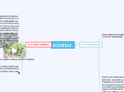 UCCELLI - Mappa Mentale