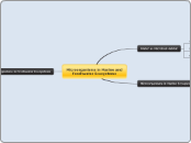 Microorganisms in Marine and Freshwater Ec...- Mind Map