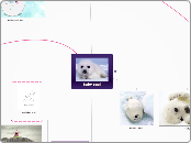 Baby seal - Mind Map