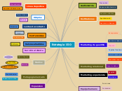 Estrategia CSO - Mapa Mental
