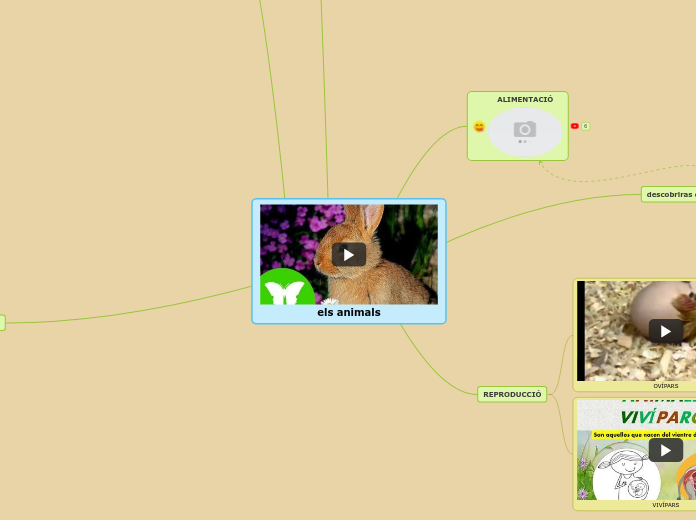 els animals - Mapa Mental