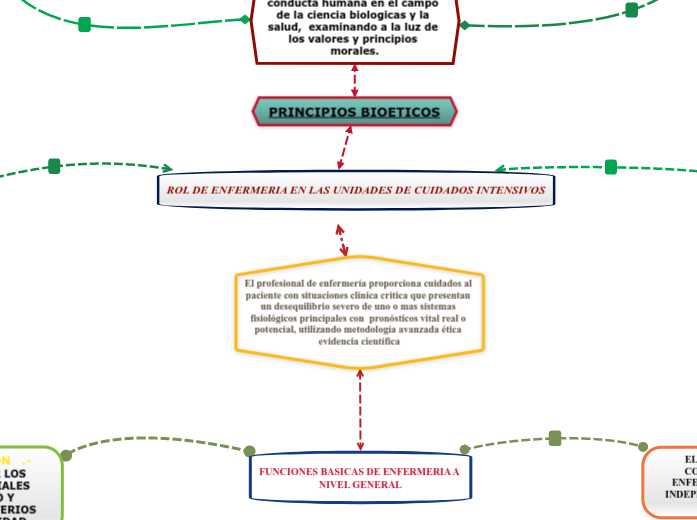 ROL DE ENFERMERIA EN LAS UNIDADES DE CUIDADOS INTENSIVOS