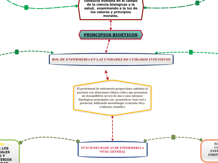 ROL DE ENFERMERIA EN LAS UNIDADES DE CUIDADOS INTENSIVOS