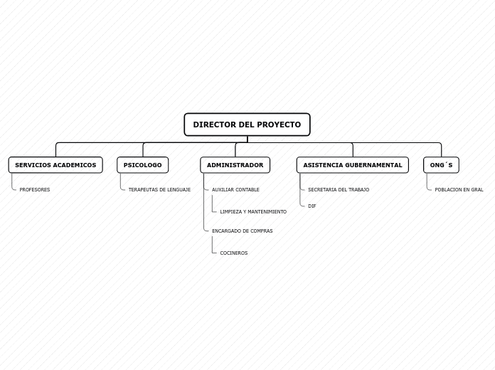 DIRECTOR DEL PROYECTO - Mapa Mental