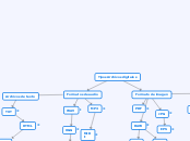 Tipos Archivos digitales - Mapa Mental