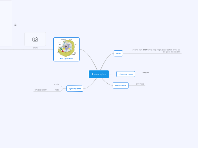 גנטיקה - Mind Map