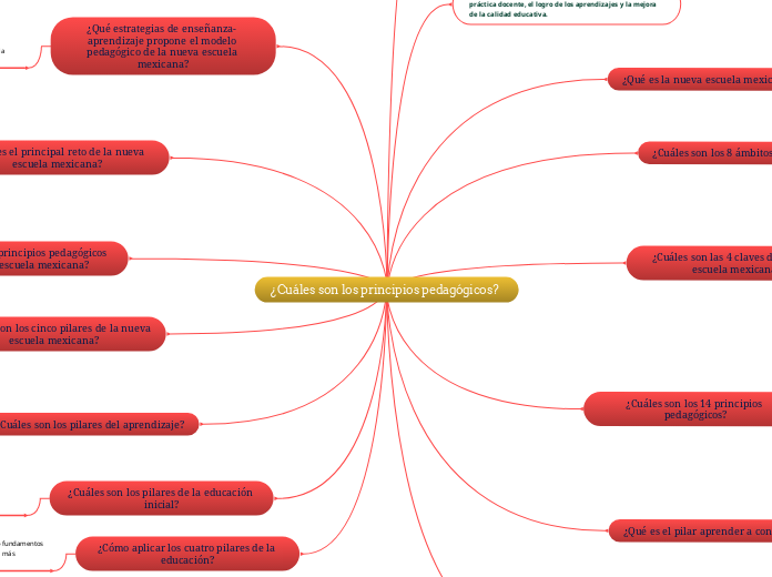 ¿Cuáles son los principios pedagógicos? - Mapa Mental