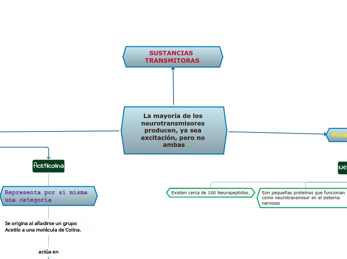 La mayoría de los neurotransmisores pro...- Mapa Mental