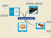 Литвиненко ДОм-1-15-2Од - Mind Map