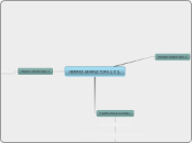 HERPES SIMPLE TIPO 1 Y 2. - Mapa Mental