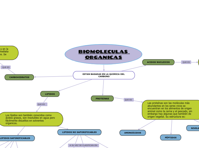 BIOMOLECULAS ORGANICAS - Mapa Mental
