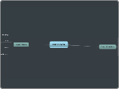 THE BRAIN - Mind Map