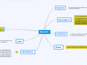 Mandrill - Mind Map