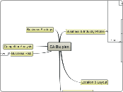 CA Biz plan - Mind Map