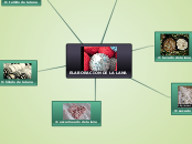 ELABORACION DE LA LANA - Mapa Mental