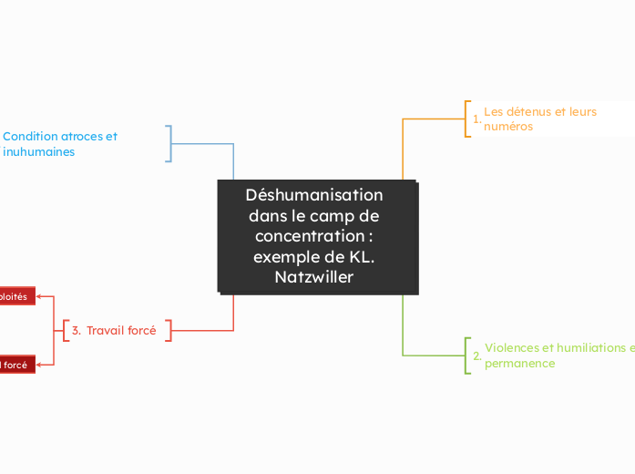 Déshumanisation dans le camp de concentration : exemple de KL. Natzwiller 
