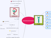 Anais c'est quoi ? - Carte Mentale
