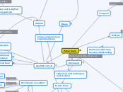 Puberbrein- Dolf - Mindmap