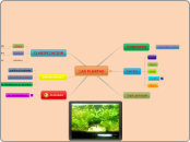 LAS PLANTAS - Mapa Mental