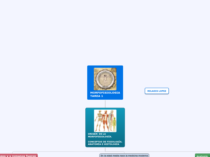 MORFOFISIOLOGIA
TAREA 1 - Mapa Mental