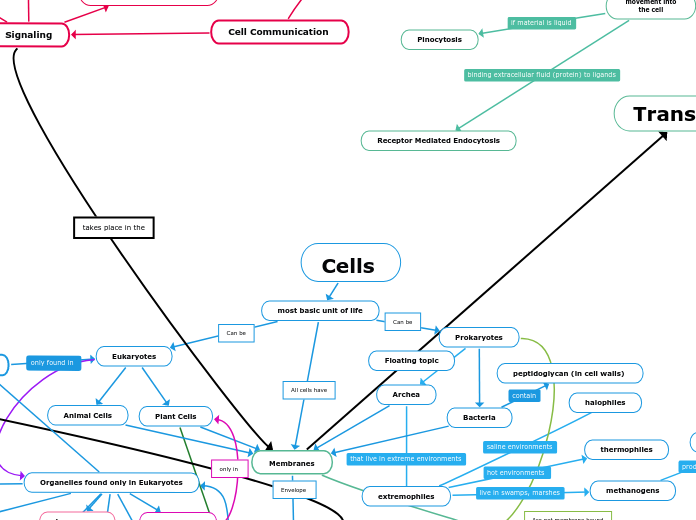 Cells - Mind Map