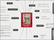 African Wild Ass
    (True Ass) - Mind Map