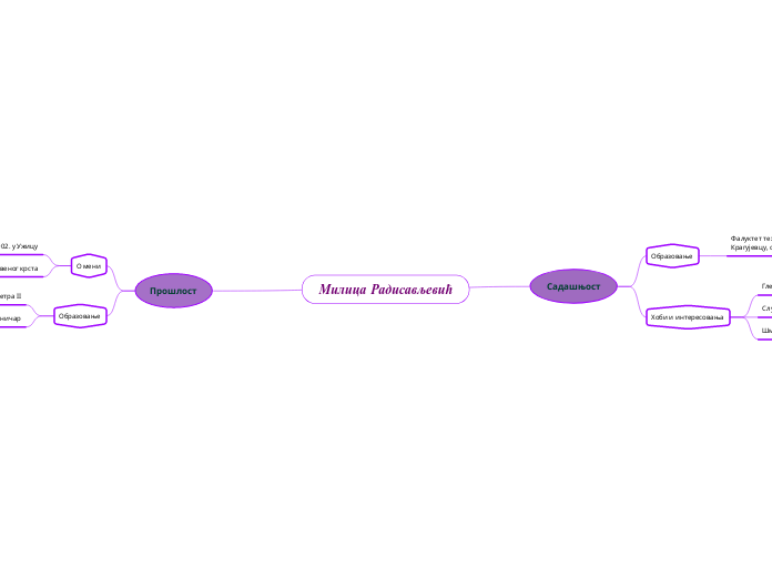 Милица Радисављевић - Mind Map