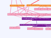 H.I voz en off - Mapa Mental