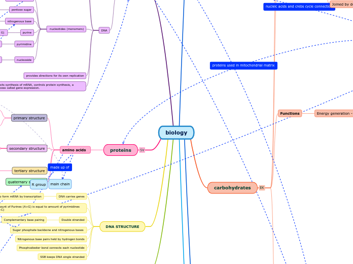 biology - Mind Map