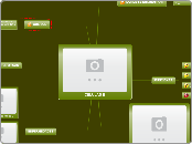 CELULAS B - Mapa Mental