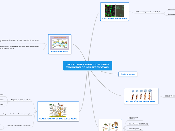 OSCAR JAVIER RODRIGUEZ UNAD EVOLUCIÓN D...- Mapa Mental