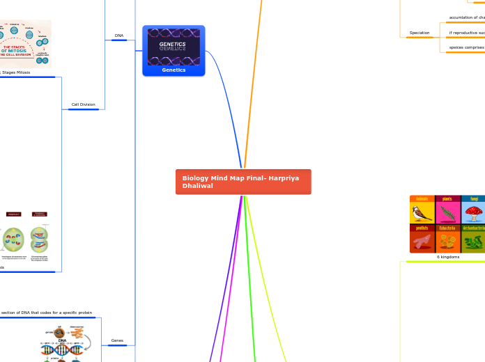 Mind Map Assignment Harpriya Dhaliwal - Mind Map