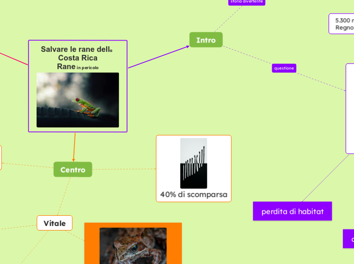 Salvare le rane in via di estinzione della Costa Rica