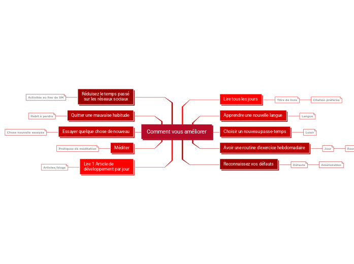 Plan de Développement Individuel Exemple